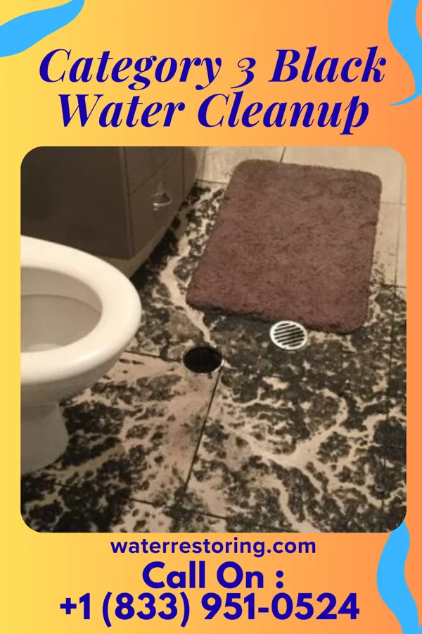 Category 3 Black Water Cleanup in Park River, ND