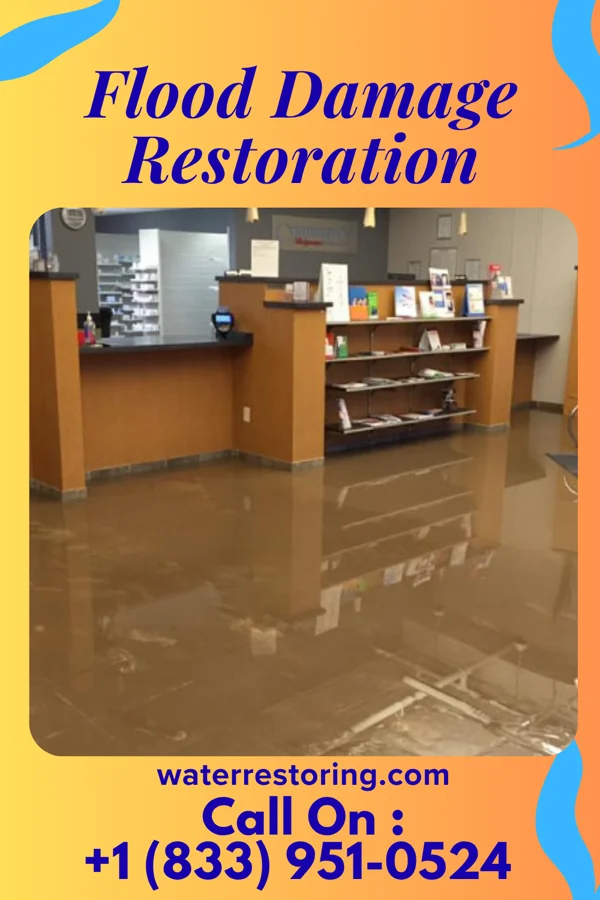 Flood Damage Restoration in Park River, ND