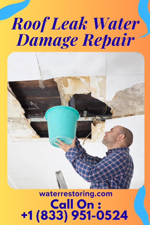 Roof Leak Water Damage Repair in Park River, ND