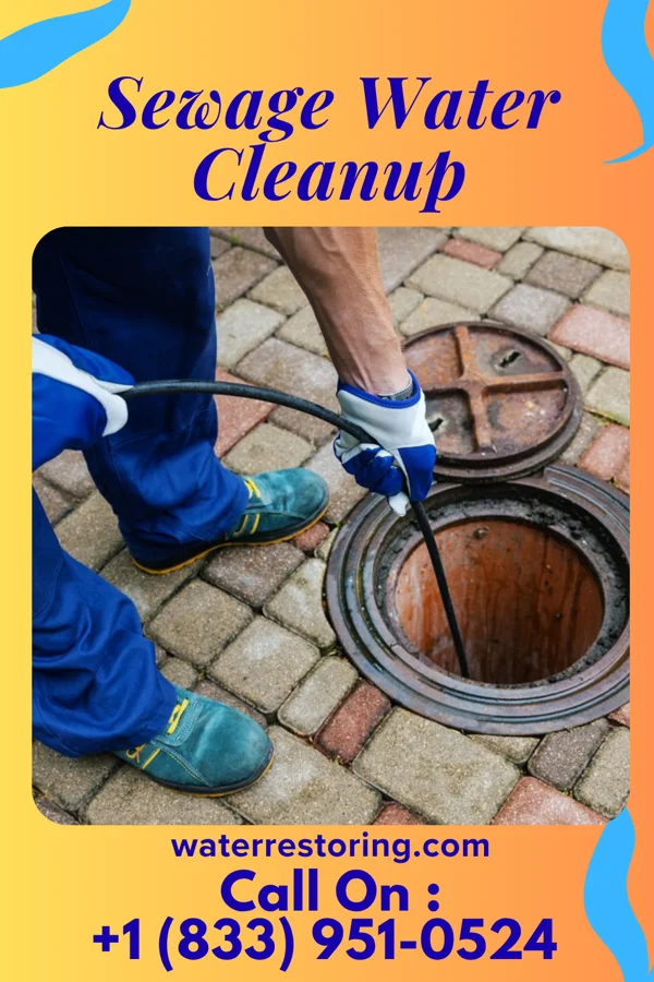 Sewage Water Cleanup in Park River, ND